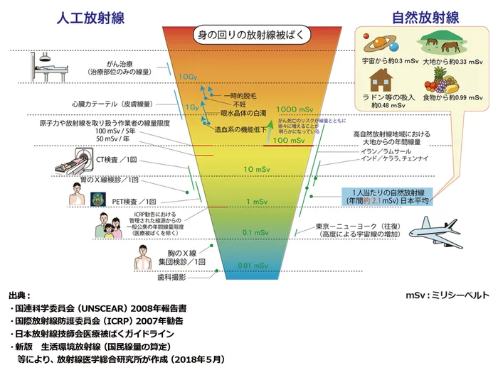 身の回りの放射線被ばくの図。人工放射線の例:がん治療(治療部位のみの線量)10Gy、心臓カテーテル(皮膚線量)1Gy前後、CT検査1回 約10mSv前後、胃のX線検診・PET検査1回 数mSv、胸のX線集団検診1回 約0.06mSv、歯科撮影 約0.01mSv。自然放射線は1人当たり年間約2.1mSv(日本平均。宇宙から約0.3、大地から約0.33、ラドン等の吸入約0.48、食物から約0.99mSv)。がん死亡のリスクは100mSvを超えると線量とともに徐々に増えることが明らかになっている。出典:放射線医学総合研究所(2018年5月)