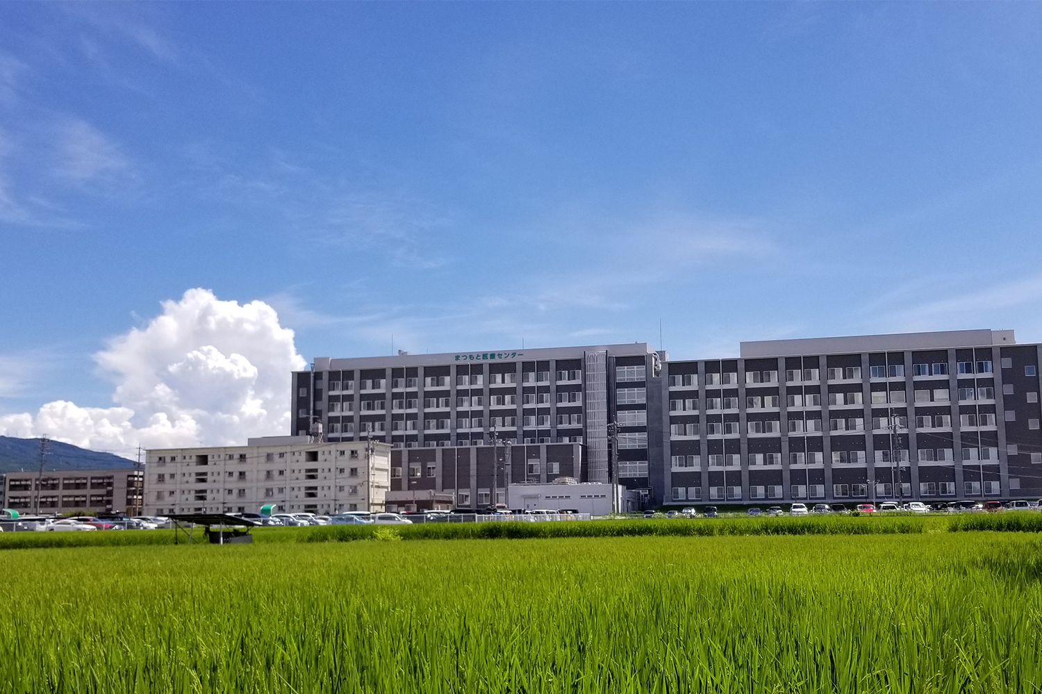 独立行政法人国立病院機構 まつもと医療センター